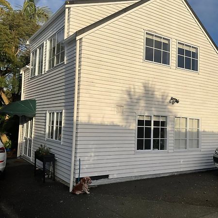 Takapuna Loft Auckland Exteriör bild